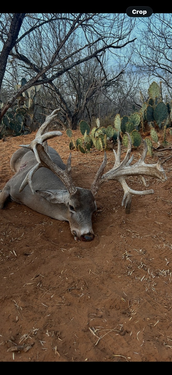 Hunting photo