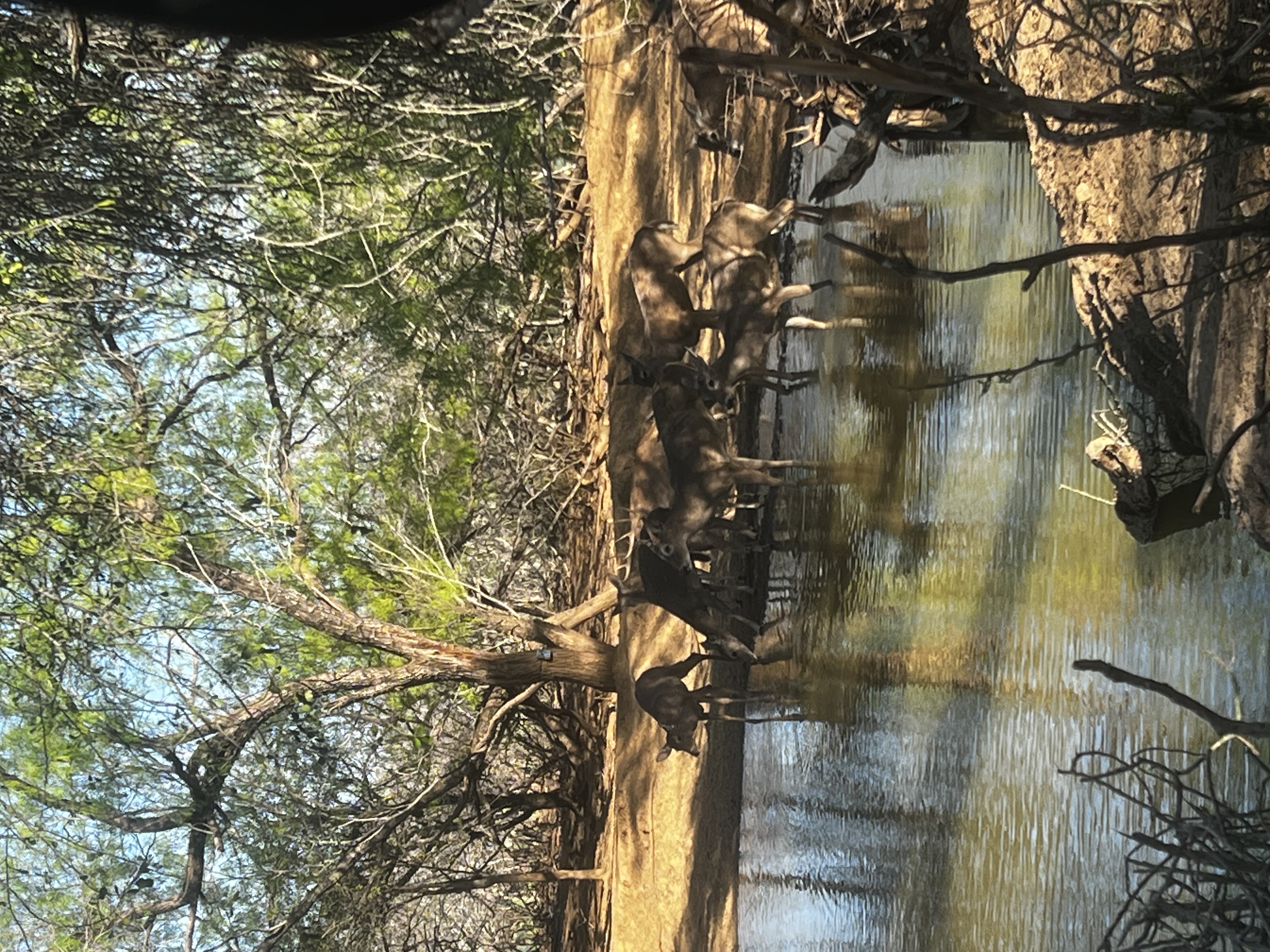 Field photo