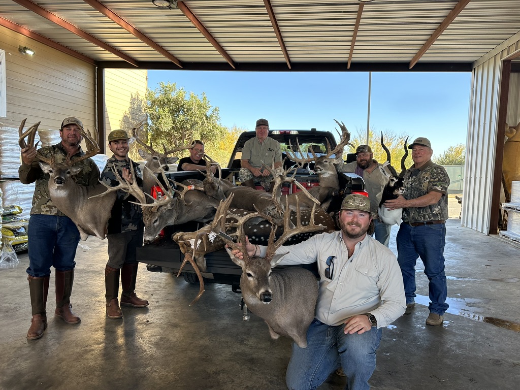 Local taxidermy services