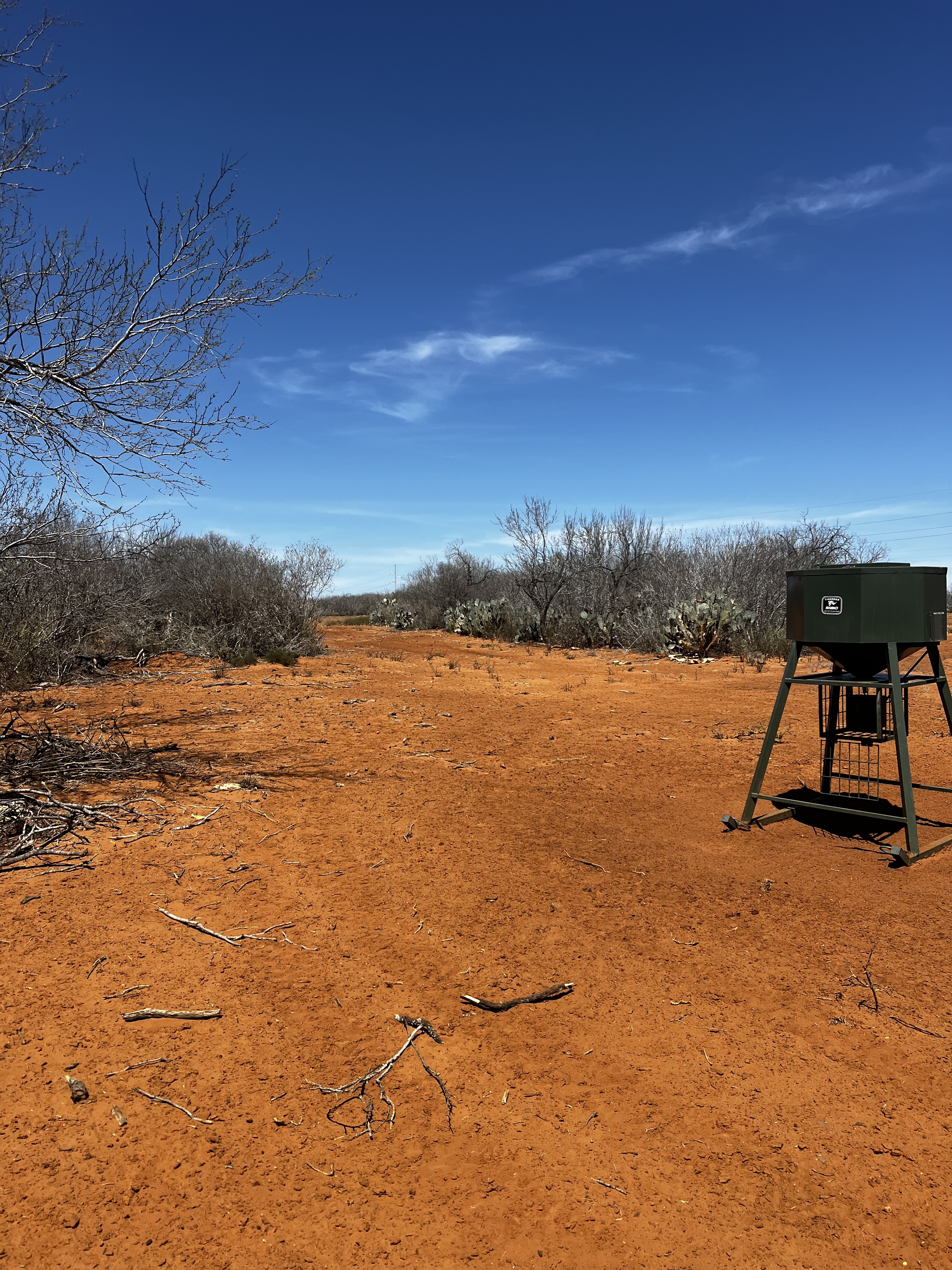 The ranch at TLowe Outfitters
